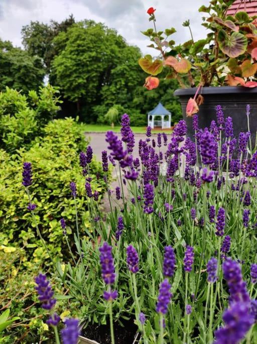 ストラットフォード＝アポン＝エイボン The Nook Located In A Beautiful Garden Setting With Parkingヴィラ エクステリア 写真