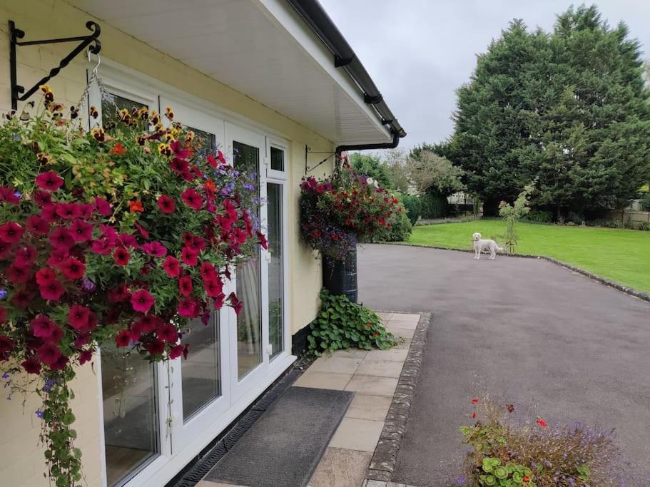 ストラットフォード＝アポン＝エイボン The Nook Located In A Beautiful Garden Setting With Parkingヴィラ エクステリア 写真
